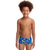 Funky Trunks - Balloon Dog - Toddler Boys Printed Trunks -Swimming Clothing funky trunks balloon dog toddler boys printed trunks 1